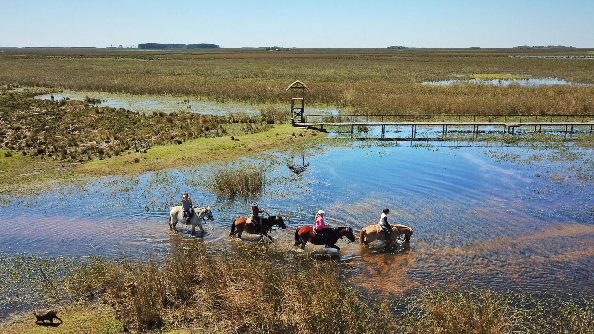 Esteros del Iberá Corrientes Park